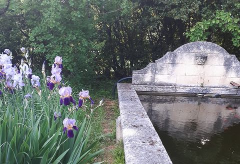 photo no. 21