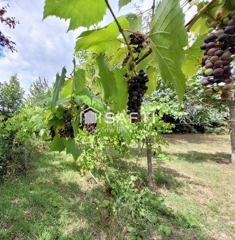 photo no. 15
