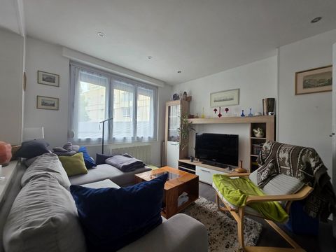photo no. 12