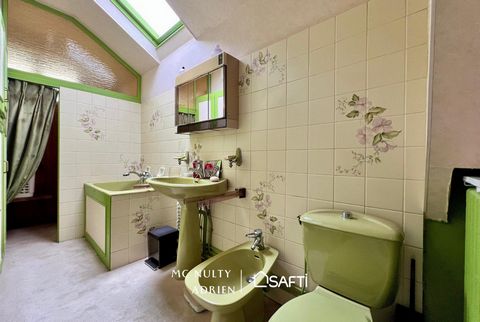 photo no. 12