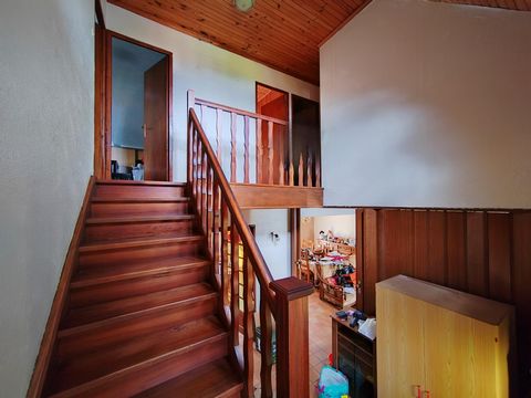 photo no. 6