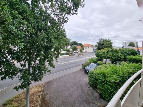 photo no. 6
