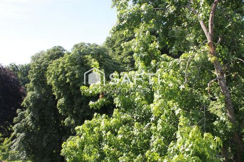 photo no. 9