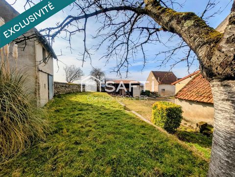Maison avec dépendances et terrain - Ciry-le-Noble