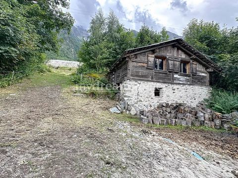 photo no. 18
