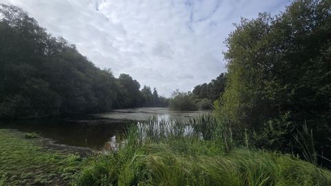 photo no. 3