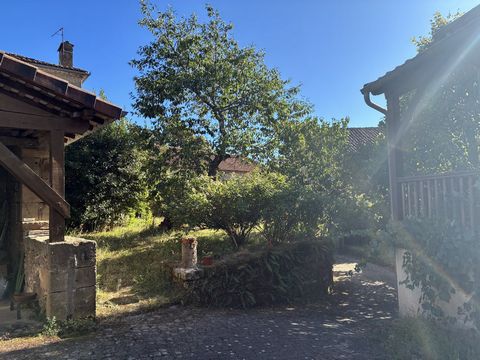 photo no. 10
