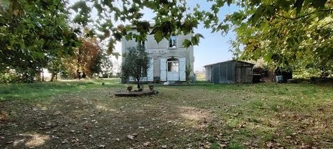 photo no. 1