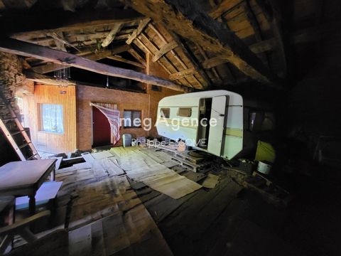 photo no. 2