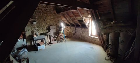 photo no. 9
