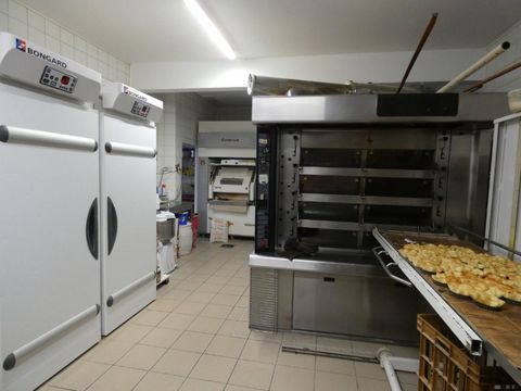 photo no. 2