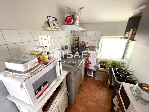 photo no. 5