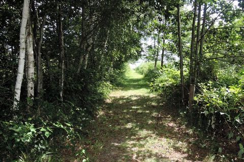 We invite you to the agritourism farm in Kołczewo located directly next to the Wolin National Park. We offer 1-5 person rooms with bathrooms. Guests have access to a communal kitchen, where you can prepare meals. The plot is surrounded on three sides...