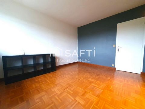 photo no. 12