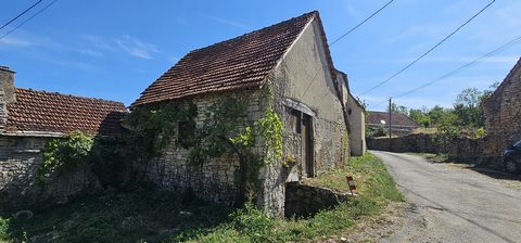 photo no. 11