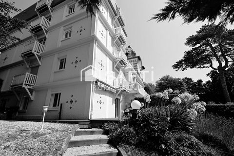 photo no. 11