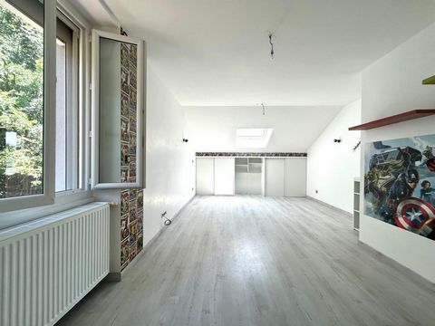 photo no. 9