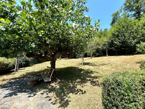 photo no. 14