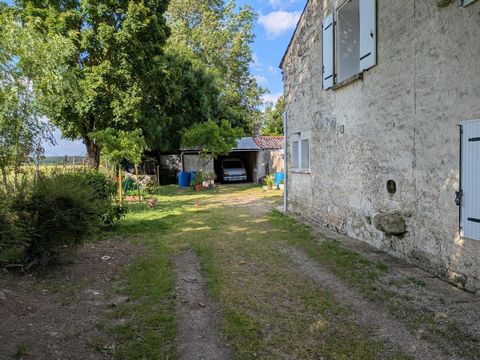 photo no. 6