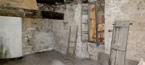 photo no. 5