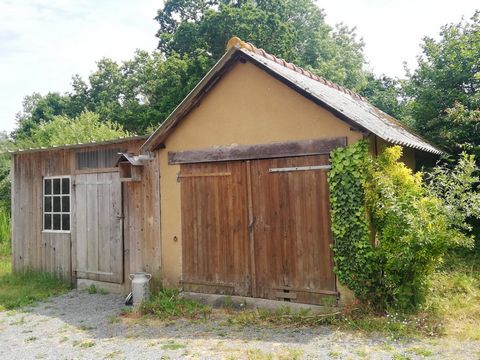 photo no. 4
