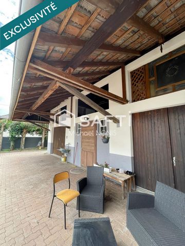 photo no. 16
