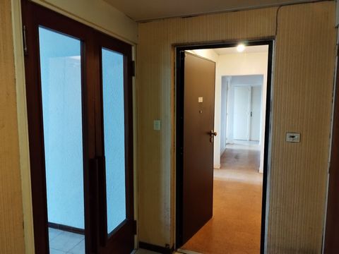 photo no. 13