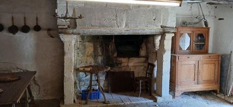 photo no. 10