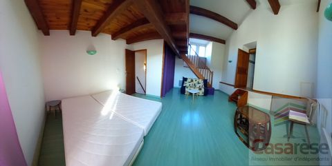 photo no. 6
