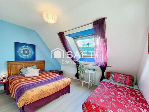 photo no. 10