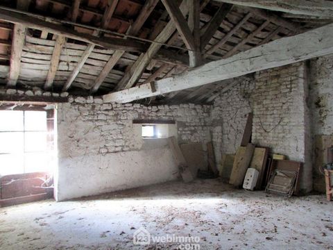 photo no. 18
