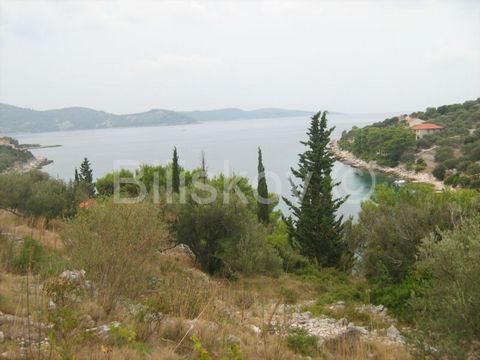 Korcula - Vela Luka. Building plot of 1,000 m2, 70m from the sea. The land is of regular shape (20x50), and the access road is under construction. The land offers an open view. Possibility to pay 50% immediately and 50% in a year.   www.biliskov.com ...