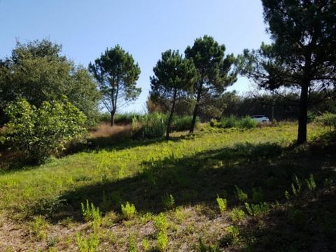 Urban land in Carvalhal with approved architectural design. With a superb nature framing and possibility of building a villa of 350m2. With infrastructures in place and bordering tarred road. Sun exposure east / west. Situated near the Buddha Eden Ga...