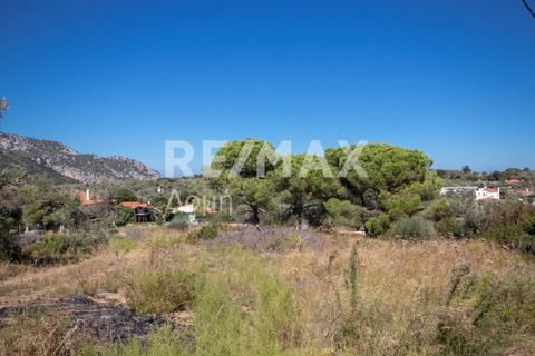 Property Code. 23404-8684 - Agricultural FOR SALE in Skiathos Kalivia for €87.000 Exclusivity. Discover the features of this 4500 sq. m. Agricultural: fenced