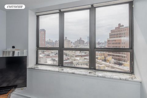 This extremely convenient, bright one bedroom home with expansive views South and West is located at Towers on the Park, a large development on the North-West corner of Central Park! The living-dining room has bright windows facing West over the buil...