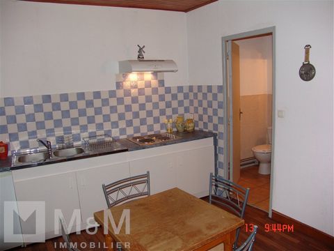 M M IMMOBILIER is pleased to present a building with 5 beautiful renovated 1 bedroom apartments, located in the center of the village of Couiza and close to all amenities. GROUND FLOOR : 1 Bedroom unit of approx. 65m² with its separate entrance and a...