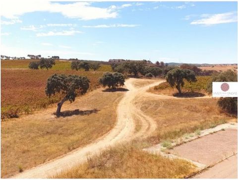 Estate with 157.3ha located in Terrugem, municipality of Elvas. The real estate asset is an agricultural property, whose main object is the production of grapes for the production of wine, although it has an extensive area of cork oak and holm oak fo...