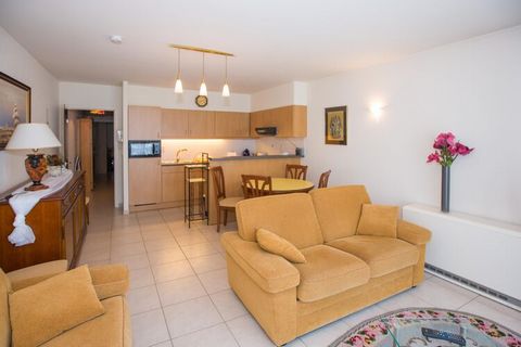 Apartment close to the Zeedijk with oblique sea view, centrally located close to the shops. Sleeping area for 2 persons, bedroom with double bed (with TV) and sofa bed in the living room. WIFI available. Large garage (street side ground floor) includ...