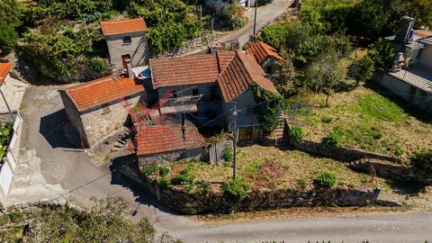 Maison à récupérer, dans la paroisse d'Anjos, à 15 minutes du centre de Vieira do Minho, à 10 minutes d'Albufeira do Ermal (téléski) et à 30 minutes de Gerês. La villa fait partie d'un terrain de 1.110m2, ayant la villa une surface d'implantation tot...