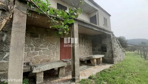 Sale of Quintinha, Serreleis, Viana do Castelo. Excellent little farm all walled with stone house to recover. With a total area of 6221m², where we can find a large house with 77m², giving the possibility of making the divisions as desired. In this s...