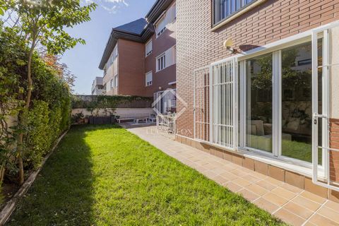 Lucas Fox presents this exclusive property in a beautiful development with a swimming pool, gym and beautiful communal areas, one of the most valued in El Montecillo, Las Rozas (Madrid). The ground floor apartment has three bedrooms and a cozy 90 m² ...