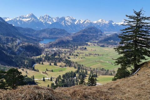 Ontspanning & Beleving: In de Alpina Zon-Appartementen met XL-zonneterras & Königscard verblijf je direct in Füssen met 4****-comfort.