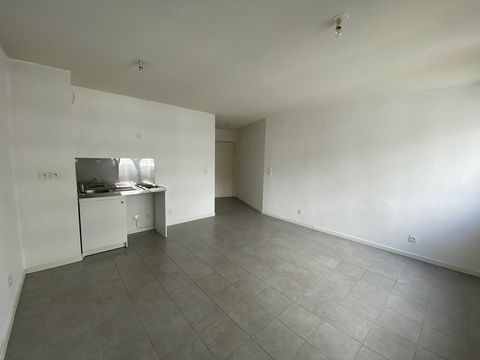 photo no. 2