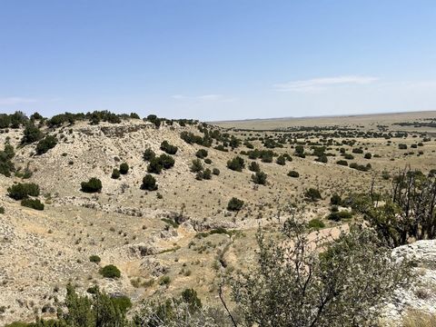 Wooded, with a diverse topography that includes meadows, mesas, and a nearly hidden rimrock canyon, this 40-acre parcel is located in Pueblo County's quiet, unspoiled ranch country, and would make an ideal hobby ranch, or residential ranch property.T...
