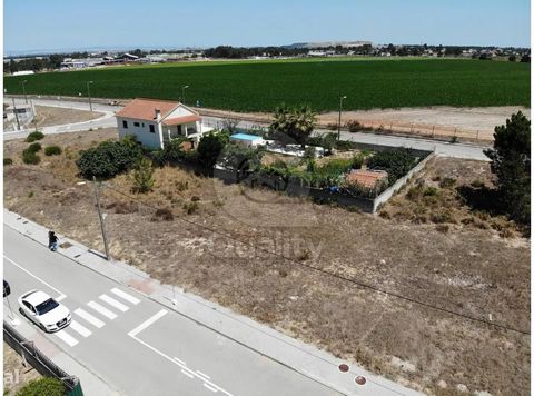 BUILDING PLOT OF LAND - QUINTA DO ANJO Do you want to build your dream home in a quiet area with great accessibility? This is the perfect terrain! We present you a plot of land with an area of 317.50m2 intended for the construction of a single-family...