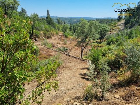 Nur wenige Kilometer vom Dorf Sertã entfernt befindet sich dieses fantastische Grundstück, das aus mehreren Bäumen, Busch und einem registrierten Lagerhaus besteht und sich ideal für den Umbau und die Umwandlung in ein schönes Einfamilienhaus eignet....