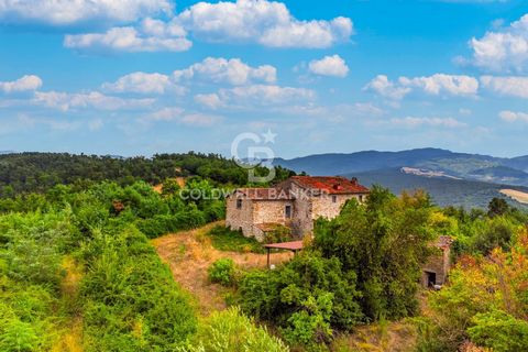 Bauernhaus zum Verkauf in Barberino di Mugello (FI) Im Herzen von Mugello, nur 3 km vom Bilancino-See entfernt, befindet sich dieses Bauernhaus. Das Bauernhaus namens La Casa di Sopra erstreckt sich über zwei Ebenen. Im Erdgeschoss gibt es eine Küche...