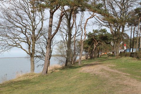 Dieser Bungalow direkt am Wasser mit 2 Schlafzimmern in Pepelow bietet einen erholsamen und idyllischen Urlaub für für bis zu 4 Personen und Familien. Der unglaublich schöne Seeblick des Feriendomizils mit Heizung, Terrasse und Grill ist die perfekte...