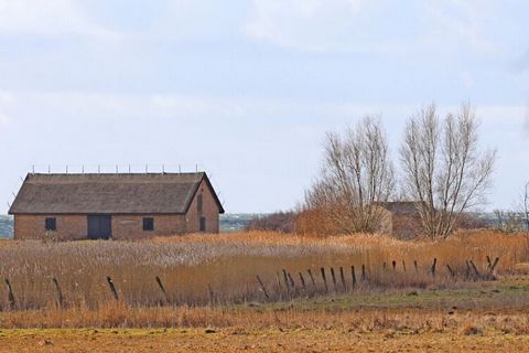 Gezellig 2-kamer vakantieappartement met balkon onder rieten dak, sprookjesachtig uitzicht op het water, sauna, gratis WiFi