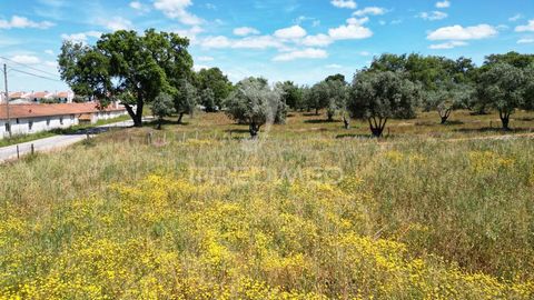 Terrain de 11 750 m2 à Boavista dos Pinheiros. L’établissement se trouve à environ 17 km des plages de la côte de l’Alentejo et à 4 km d’Odemira, le siège du comté. Situé à environ 80 km de l’autoroute A2, qui donne accès à Lisbonne et Faro. Les terr...